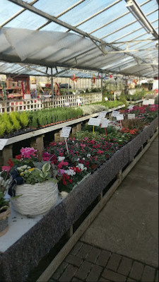 Crick Garden Centre - Northampton EduMap Insights